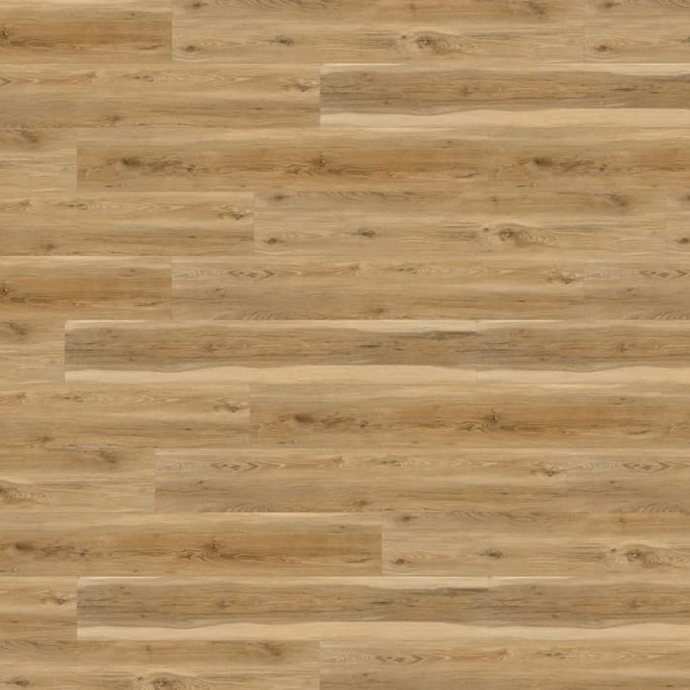 Фото вінілу вінео 600 194